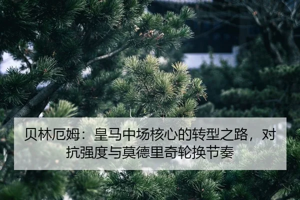 bei-lin-e-mu-huang-ma-zhong-chang-he-xin-de-zhuan-xing-zhi-lu-dui-kang-qiang-du-yu-mo-de-li-qi-lun-huan-jie-zou-2-781.jpg